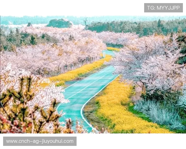 以好看旋转足球樱花为中心的唯美春日动感主题视觉创意魅力探索之旅 以好看旋转足球樱花为中心的唯美春日动感主题视觉创意魅力探索之旅